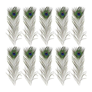 5-10PCS Natural Peacock Tail Eyes Feathers 75-80cm 26-30cm DIY Craft Vase Decor