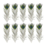 5-10PCS Natural Peacock Tail Eyes Feathers 75-80cm 26-30cm DIY Craft Vase Decor