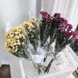 3Sizes Clear Cellophane Wrap Roll Gift Flower Bouquet Baskets Wrapping Paper