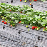 200x Grass Pegs Lawn Turf Weed Mat Plastic Pins Stakes Anchor Lawn Sod Fasten