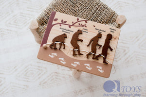 Human evolution puzzle and lacing set