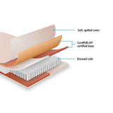 Palermo Contour 20cm Encased Coil Queen Mattress CertiPUR-US Certified Foam