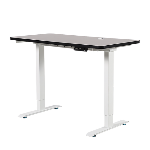Palermo Standing Desk Sit Stand Height Adjustable Motorised 120cm Table Dual Motor
