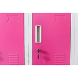 12-Door Locker for Office Gym Shed School Home Storage - Standard Lock with 2 Keys