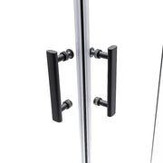Adjustable Double Sliding Door Glass Shower Screen in Black - Style 2