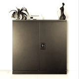 Two-Door Metal Short Cabinet Shelf Storage for Home Office Gym