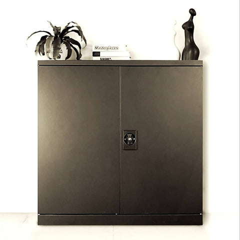 Two-Door Metal Short Cabinet Shelf Storage for Home Office Gym