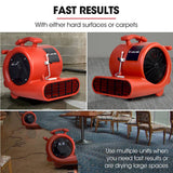 Darrahopens Appliances > Appliances Others Baumr-AG 3-Speed Carpet Dryer Air Mover Blower Fan, 1300CFM, Sealed Copper Motor, Poly Housing