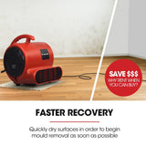 Darrahopens Appliances > Appliances Others Baumr-AG 3-Speed Carpet Dryer Air Mover Blower Fan, 700CFM, Sealed Copper Motor, Poly Housing