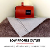 Darrahopens Appliances > Appliances Others Baumr-AG 3-Speed Carpet Dryer Air Mover Blower Fan, 700CFM, Sealed Copper Motor, Poly Housing
