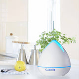 darrahopens Appliances > Aroma Diffusers & Humidifiers Essential Oils Ultrasonic Aromatherapy Diffuser Air Humidifier Purify 400ML - White
