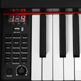 Darrahopens Audio & Video > Musical Instrument & Accessories Alpha 88 Keys Electronic Keyboard Digital Piano Full-weighted w/ stand