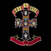Darrahopens Audio & Video > Musical Instrument & Accessories Guns & Roses Appetite For Destruction - Vinyl Album