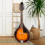 Darrahopens Audio & Video > Musical Instrument & Accessories Karrera Traditional Mandolin - Sunburst