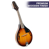 Darrahopens Audio & Video > Musical Instrument & Accessories Karrera Traditional Mandolin - Sunburst