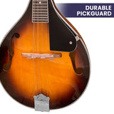 Darrahopens Audio & Video > Musical Instrument & Accessories Karrera Traditional Mandolin - Sunburst