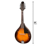 Darrahopens Audio & Video > Musical Instrument & Accessories Karrera Traditional Mandolin - Sunburst