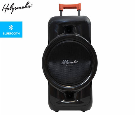 Darrahopens Audio & Video > Speakers Holysmoke Raphe Bluetooth TWS Party Speaker 12" Portable