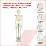 darrahopens Baby & Kids > Toys Anatomical 85cm Tall Human Skeleton with Flexible Spine Model - Medical Anatomy