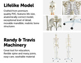 darrahopens Baby & Kids > Toys Human Skeleton Anatomical Model 180cm