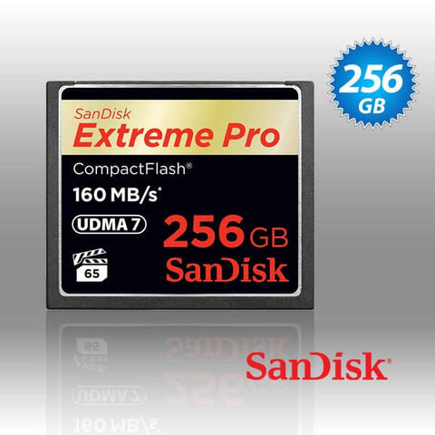 darrahopens Electronics > Back Up & Storage SanDisk Extreme Pro CFXP 256GB CompactFlash 160MB/s (SDCFXPS-256G)