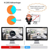 Darrahopens Electronics > Computer Accessories Hiseeu H5NVR-P4-624P 4CH 4MP PoE CCTV System (2TB HDD)