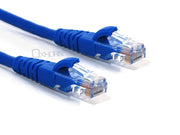 Darrahopens Electronics > Computer Accessories Oxhorn  Network Cable Cat6 0.3m