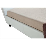 darrahopens Furniture > Bedroom King Single PU Leather Bed Frame White