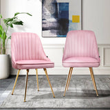 darrahopens Furniture > Dining Artiss Set of 2 Dining Chairs Retro Chair Cafe Kitchen Modern Iron Legs Velvet Pink