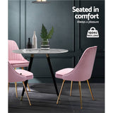 darrahopens Furniture > Dining Artiss Set of 2 Dining Chairs Retro Chair Cafe Kitchen Modern Iron Legs Velvet Pink