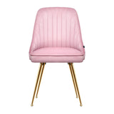 darrahopens Furniture > Dining Artiss Set of 2 Dining Chairs Retro Chair Cafe Kitchen Modern Iron Legs Velvet Pink
