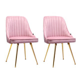 darrahopens Furniture > Dining Artiss Set of 2 Dining Chairs Retro Chair Cafe Kitchen Modern Iron Legs Velvet Pink