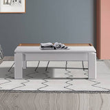 darrahopens Furniture > Dining Coffee Table High Gloss Finish Lift Up Top MDF White Ash Colour Interior Storage