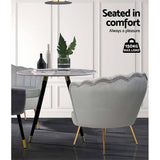 darrahopens Furniture > Living Room Artiss Armchair Lounge Chair Accent Armchairs Retro Single Sofa Velvet Grey