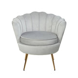 darrahopens Furniture > Living Room Artiss Armchair Lounge Chair Accent Armchairs Retro Single Sofa Velvet Grey