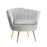 darrahopens Furniture > Living Room Artiss Armchair Lounge Chair Accent Armchairs Retro Single Sofa Velvet Grey