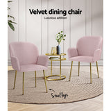 Darrahopens Furniture > Living Room Artiss  Set of 2 Kynsee Dining Chairs Armchair Cafe Chair Upholstered Velvet Pink