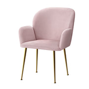 Darrahopens Furniture > Living Room Artiss  Set of 2 Kynsee Dining Chairs Armchair Cafe Chair Upholstered Velvet Pink