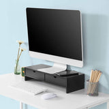 darrahopens Furniture > Living Room Black Monitor Stand Desk Organizer with 2 Drawers