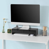 darrahopens Furniture > Living Room Black Monitor Stand Desk Organizer with 2 Drawers