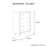 darrahopens Furniture > Living Room Tallboy with 5 Storage Drawers Solid Acacia Wooden Frame in Silver Brush Colour