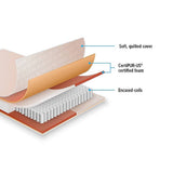 darrahopens Furniture > Mattresses Palermo Contour 20cm Encased Coil Queen Mattress CertiPUR-US Certified Foam