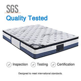 darrahopens Furniture > Mattresses Queen Mattress Latex Pillow Top Pocket Spring Foam Medium Firm Bed