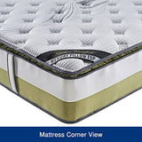 darrahopens Furniture > Mattresses Queen Mattress Memory Pillow Top Pocket Spring Foam Medium Firm Bed