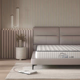 Darrahopens Furniture > Mattresses Spine-Lab Mattress 5 Zone 21cm Medium Firm Foam Bonnell Spring - King Single - White