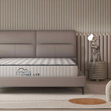 Darrahopens Furniture > Mattresses Spine-Lab Mattress 5 Zone 21cm Medium Firm Foam Bonnell Spring - King Single - White