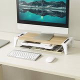 darrahopens Furniture > Office activiva Ergolife Monitor Stand Riser with Storage Drawer