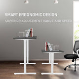 Darrahopens Furniture > Office FORTIA Sit Stand Standing Desk, 120x60cm, 72-118cm Height Adjustable, 70kg Load, Black style/White Frame