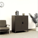 Darrahopens Furniture > Office Two-Door Metal Short Cabinet Shelf Storage for Home Office Gym