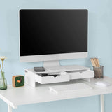 darrahopens Furniture > Office White Monitor Stand Desk Organizer with 2 Drawers
